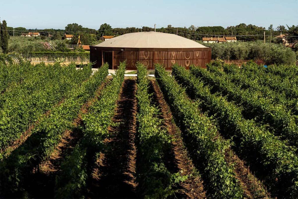 The-Sense-Resort-Campo-alle-Comete-vigneti