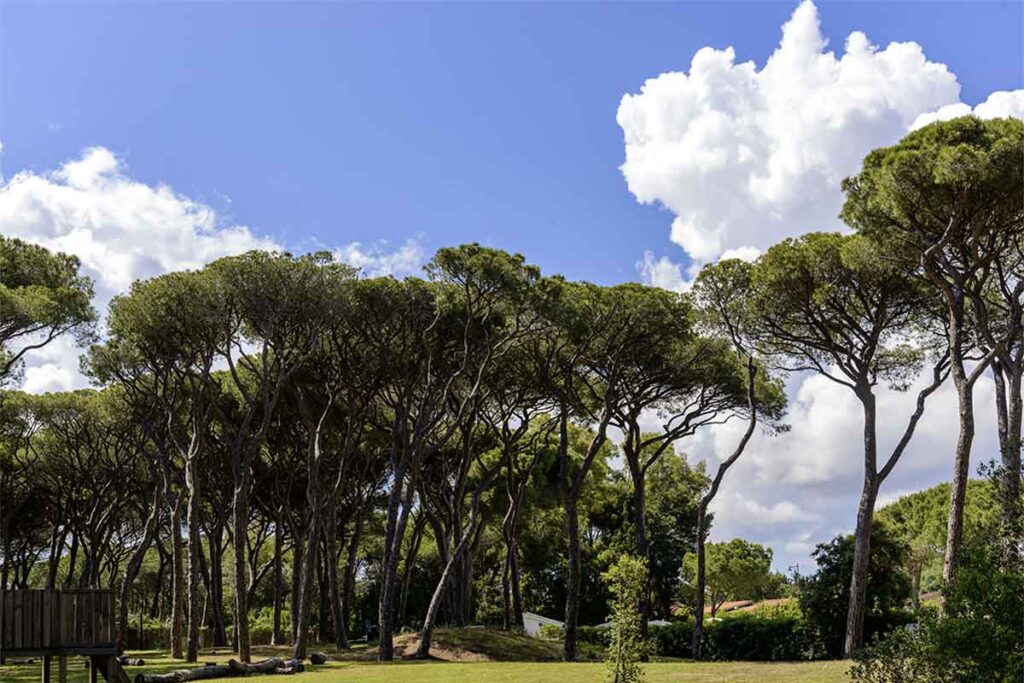 the-sense-eco-hotel-toscana-mare-16 The Sense Resort Eco Hotel