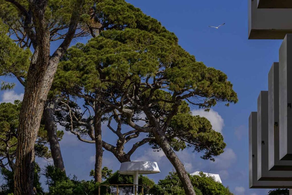 the-sense-eco-hotel-toscana-mare-6 The Sense Resort Eco Hotel