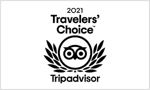 travelers-choice-tripadvisor-2021-logo